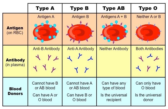 Blood group